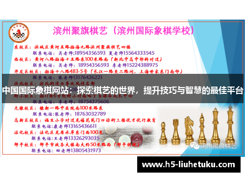 中国国际象棋网站：探索棋艺的世界，提升技巧与智慧的最佳平台