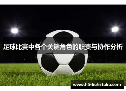 足球比赛中各个关键角色的职责与协作分析