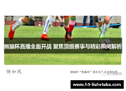 熊猫杯直播全面开战 聚焦顶级赛事与精彩瞬间解析