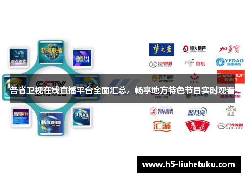 各省卫视在线直播平台全面汇总，畅享地方特色节目实时观看