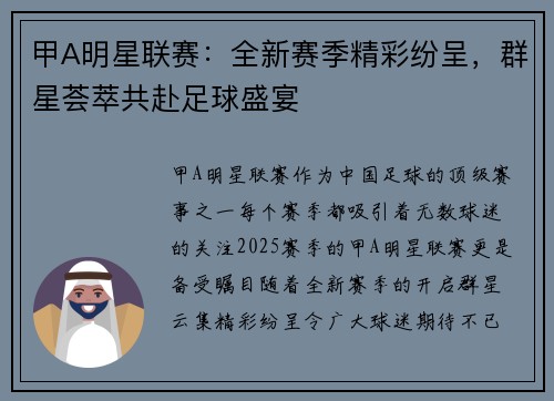 甲A明星联赛：全新赛季精彩纷呈，群星荟萃共赴足球盛宴