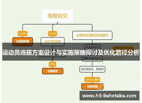 运动员选拔方案设计与实施策略探讨及优化路径分析